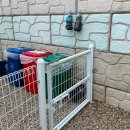 모모애견 이미지