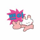 2026년 6월 넷째주~마지막주 일상🦭