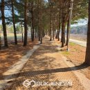 덕산온천 국제뉴스