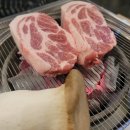 명랑회관춘천점 | 재방문 N번째, 춘천 고기맛집 [명랑회관]
