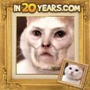20년후에 모습을보여주는어플에 고양이 사진을 넣어보았다. 이미지
