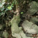 우림파크 이미지