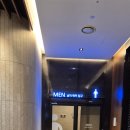 소노펠리체 델피노 이미지