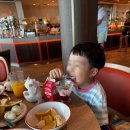 더스타타이클럽(THE STAR THAI CLUB) | [미국7박8일크루즈여행:DAY3-Part1]로얄캐리비안 스타오브더씨 Port day! 드디어 배에서 내린다...