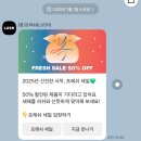 러쉬(LUSH) | 러쉬 세일 추천템 LUSH 샴푸 프레쉬세일 구매후기