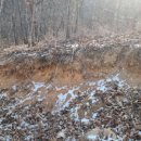 맥타가트 농장 이미지