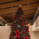 워시드카 | 목포 카페 추천! 3000평 대형 오션뷰 베이커리카페 SUKSAN(석산) 후기