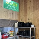 미스터해물칼국수 이미지