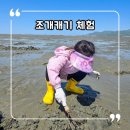하전어촌체험휴양마을 | 고창 아이랑 가볼만한곳 갯벌체험 조개캐기 후기