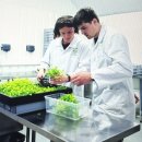 생활원예관리사 | 농산물품질관리사시험 한 번에 붙고 싶다면? 2026 시험일정, 합격률, 응시자격까지 한번에 정리!