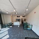 개미애견미용실 이미지