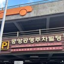 중앙빌딩 | 서귀포횟집 제주 올레시장 가성비 좋은 회포장 통나무횟집 후기