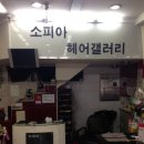 소피아 헤어 겔러리