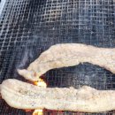 숲속통나무 이미지