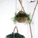 무진가든 이미지