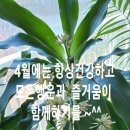 윤태화 유채꽃 축제공연&뉴스브리핑 이미지