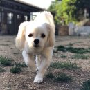 (주)플레이라움