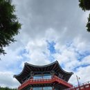 지난 주말 일기(아내의 충주 마라톤 후기 포함)
