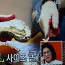 굴마을낙지촌 이미지