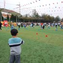 인곡1저류지 축구장 | 병점 숙명키즈어린이집 가을운동회 (인곡1저류지 체육공원 인조잔디축구장)