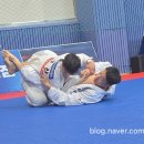 일광주짓수아카데미 이미지