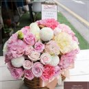 강남리즈산부인과의원 Daum카페