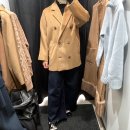바데스 이미지