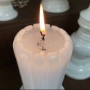 제천유치원 | 제천점집인 전화신점, 마고신당 후기!