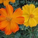 암사역사공원 이미지