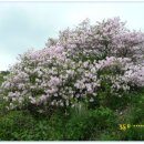 연인산풍경 이미지