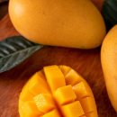 교    리 이미지