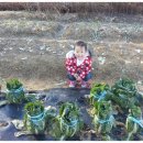 오진농장 이미지