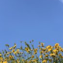 뚜레쥬르평택고덕중앙점 이미지