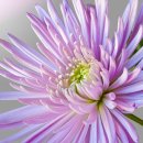 장터회관 이미지