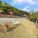 어비 포레스트 이미지