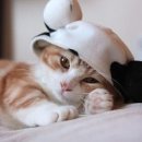 비와이 짐 이미지