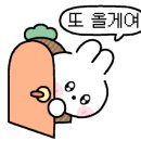 더보이스 코인 노래연습장 이미지