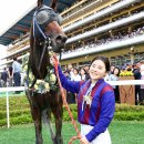 기량축산 이미지