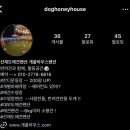 개꿀하우스 이미지