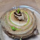 서희농장 이미지