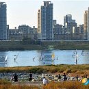 첫마을약국 이미지