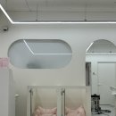 멍그레 | 부산 해운대 애견미용 송정 애견미용 잘하는곳 멍그레