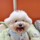 판교매일식당 정자직영점 이미지