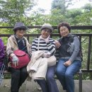 우면산3-25 이미지