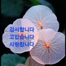 Pink Floyd - Shine On You Crazy Diamond 이미지