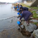 남원종자 이미지