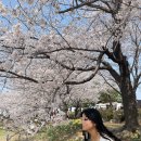 갯골안4 이미지