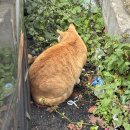 텐텐랜드 | 텐텐