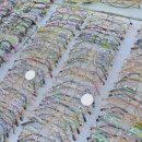 아이룩스안경원 이미지