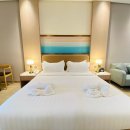 코코트리 이미지